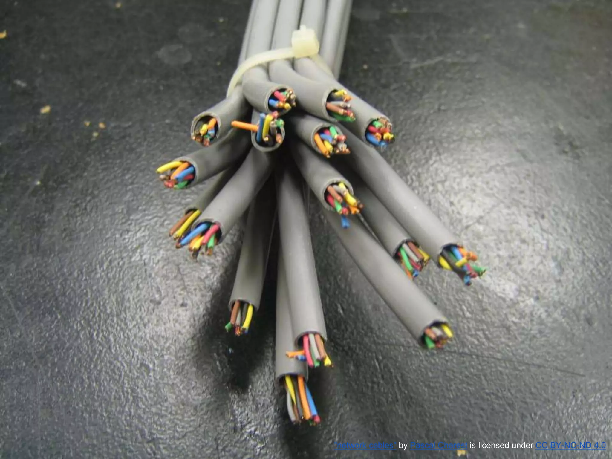 "network cables" by Pascal Charest is licensed under CC BY-NC-ND 4.0
 
