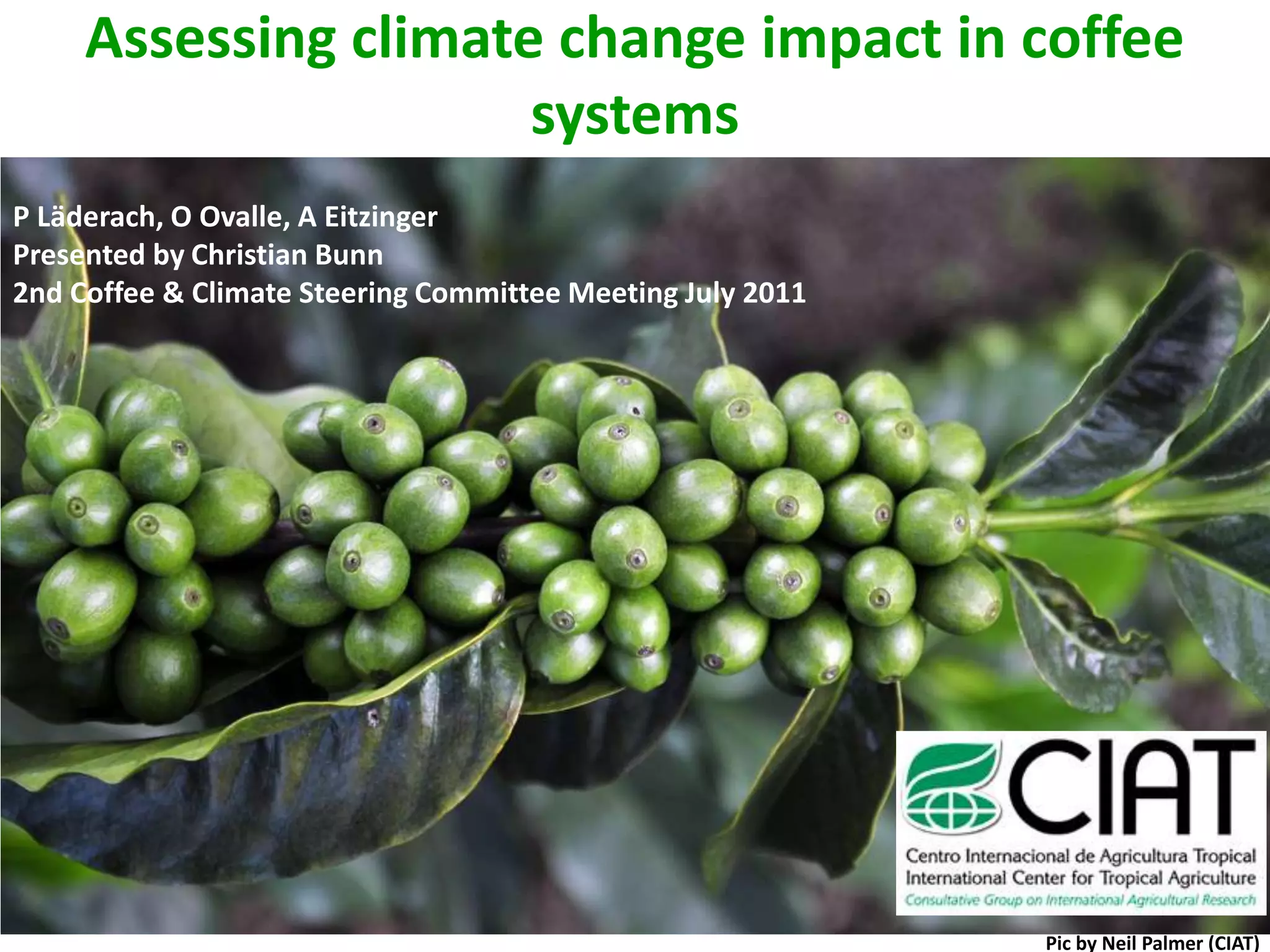 Assessing climate change impact in coffee systemsP Läderach, O Ovalle, A EitzingerPresented by Christian Bunn2nd Coffee & Climate Steering Committee Meeting July 2011