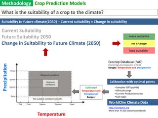 Kenya (AdapCC, GTZ)ContextGeneral livelihood impacts in NicaraguaHighly variable yieldsDependency on coffeePostharvest managementPest and disease issuesMigration