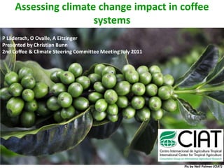 Assessing climate change impact in coffee systems P Läderach, O Ovalle, A Eitzinger Presented by Christian Bunn 2nd Coffee & Climate Steering Committee Meeting July 2011 