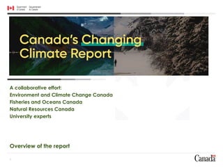A collaborative effort:
Environment and Climate Change Canada
Fisheries and Oceans Canada
Natural Resources Canada
University experts
Wearable technology, developed with funding
from the NSERC Discovery Grants program
Source: Western University
Overview of the report
1
 