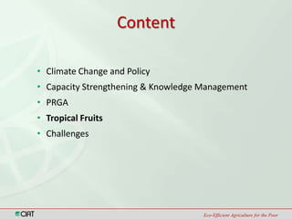 Climate Change and Capacity Strengthening Area