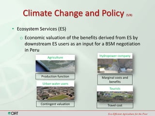 Climate Change and Capacity Strengthening Area