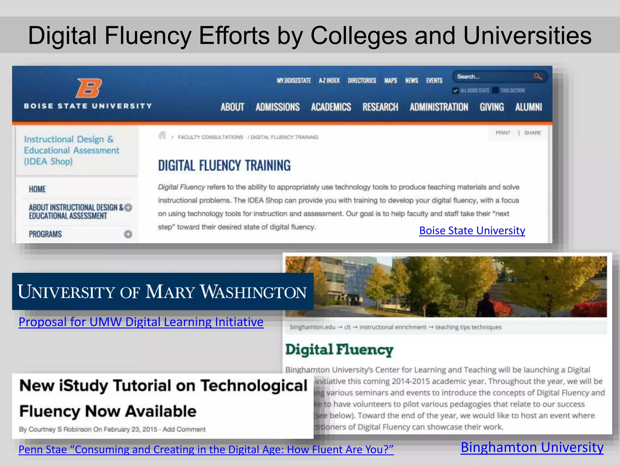 Digital Fluency Efforts by Colleges and Universities
Boise State University
Binghamton University
Proposal for UMW Digital Learning Initiative
Penn Stae “Consuming and Creating in the Digital Age: How Fluent Are You?”
 