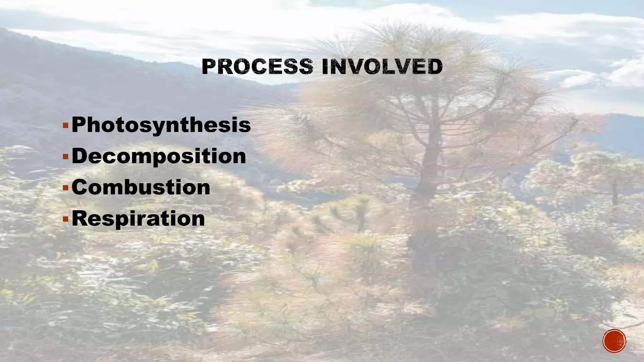 Photosynthesis
Decomposition
Combustion
Respiration
 