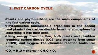 CARBON CYCLE BY PRANZLY.ppt