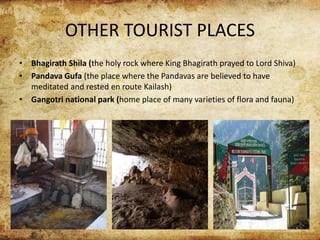 OTHER TOURIST PLACES
• Bhagirath Shila (the holy rock where King Bhagirath prayed to Lord Shiva)
• Pandava Gufa (the place where the Pandavas are believed to have
meditated and rested en route Kailash)
• Gangotri national park (home place of many varieties of flora and fauna)
 