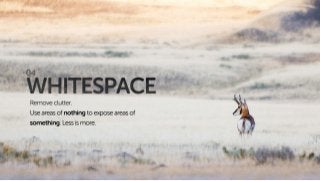 The 7 Principles of Conversion Centered Design