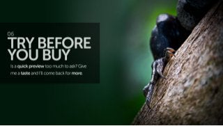 The 7 Principles of Conversion Centered Design