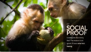 The 7 Principles of Conversion Centered Design