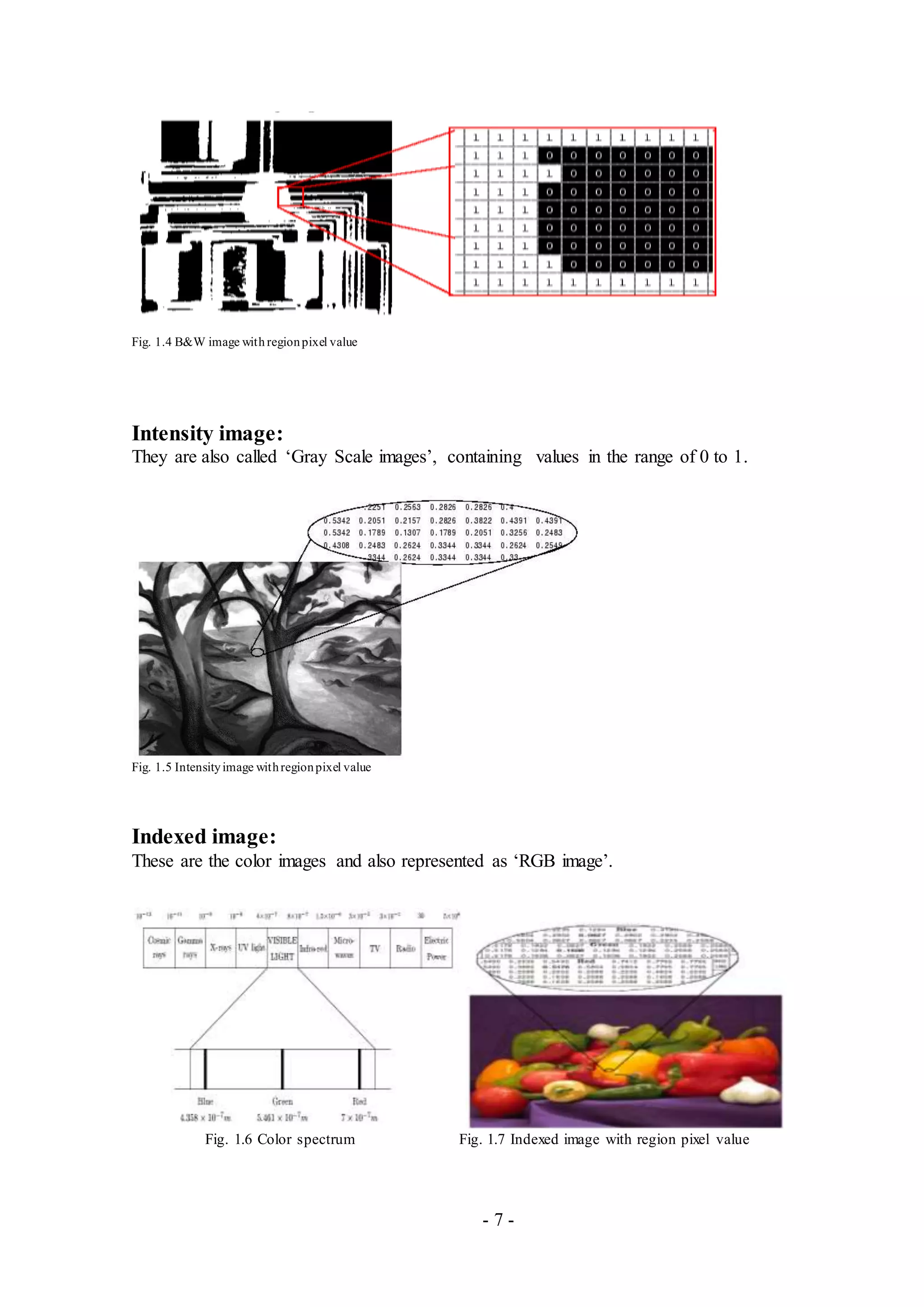 - 7 -
Fig. 1.4 B&W image with regionpixel value
Intensity image:
They are also called ‘Gray Scale images’, containing values in the range of 0 to 1.
Fig. 1.5 Intensityimage withregionpixel value
Indexed image:
These are the color images and also represented as ‘RGB image’.
Fig. 1.6 Color spectrum Fig. 1.7 Indexed image with region pixel value
 