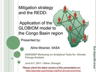 Mitigation strategy
and the REDD:

 Application of the
GLOBIOM model to
the Congo Basin region
 Presented by:




                                                             www.agrodep.org
         Aline Mosnier, IIASA

    AGRODEP Workshop on Analytical Tools for Climate
    Change Analysis

    June 6-7, 2011 • Dakar, Senegal
  Please check the latest version of this presentation on:
     http://agrodep.cgxchange.org/first-annual-workshop
 