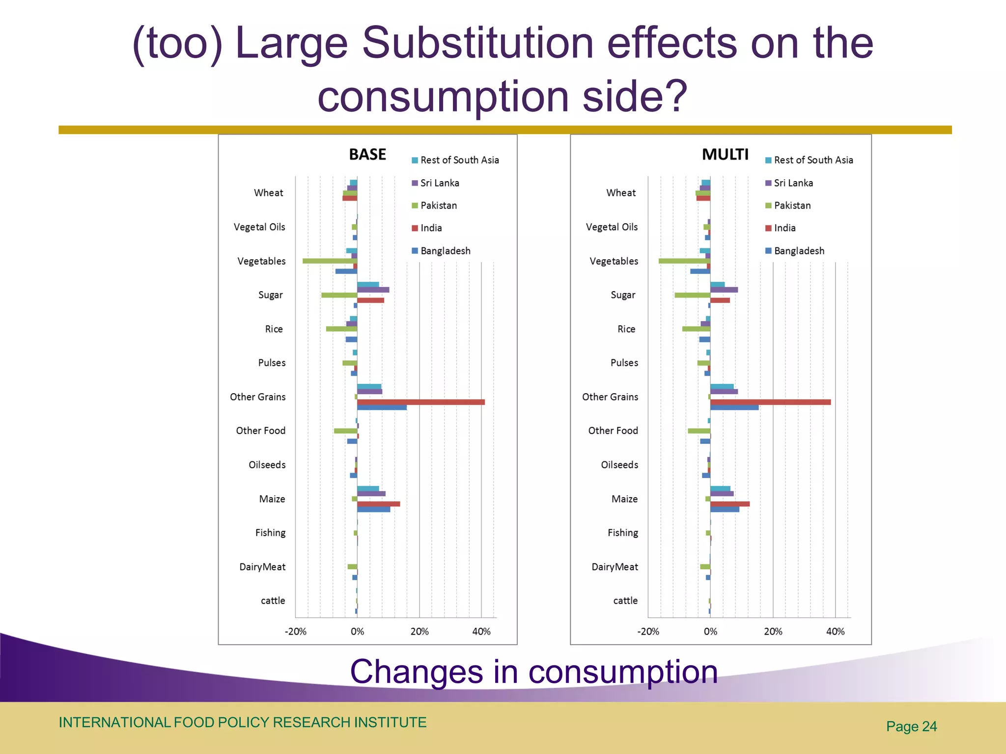 (too) Large Substitution effects on the
                  consumption side?




                                  Changes in consumption
INTERNATIONAL FOOD POLICY RESEARCH INSTITUTE               Page 24
 