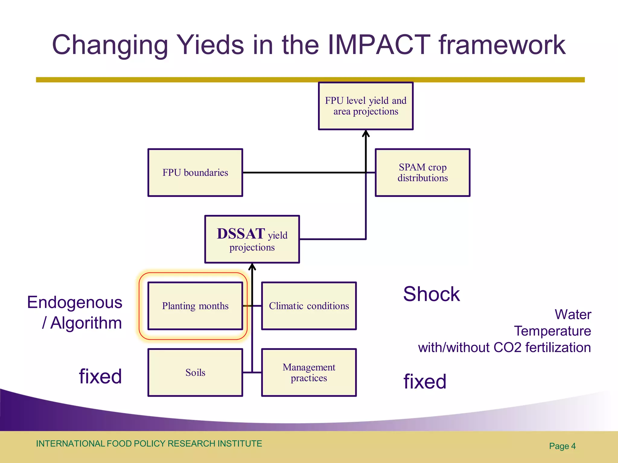 Changing Yieds in the IMPACT framework
                                                                 FPU level yield and
                                                                   area projections




                                                                                 SPAM crop
                         FPU boundaries
                                                                                 distributions




                                      DSSAT yield
                                           projections




Endogenous               Planting months            Climatic conditions
                                                                                   Shock
                                                                                                               Water
 / Algorithm                                                                                          Temperature
                                                                                       with/without CO2 fertilization
                                                         Management
         fixed                Soils
                                                          practices
                                                                                   fixed

 INTERNATIONAL FOOD POLICY RESEARCH INSTITUTE                                                                Page 4
 