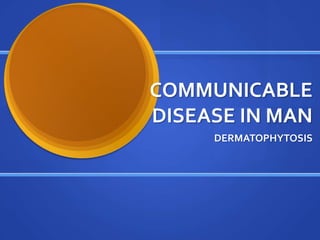 COMMUNICABLE
DISEASE IN MAN
DERMATOPHYTOSIS
 
