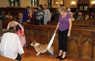 CCDP Blessing of Animals 2013 
