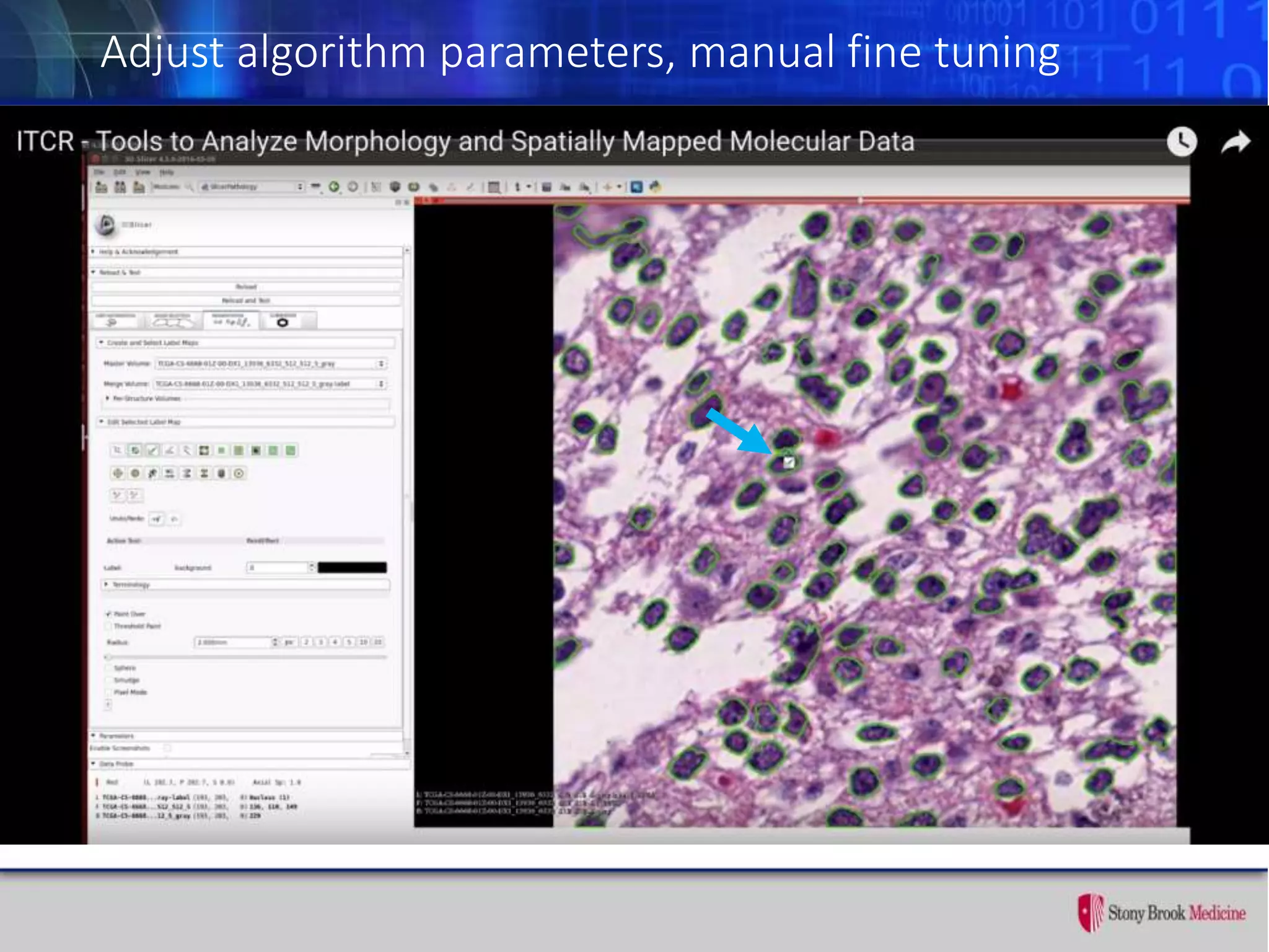 Adjust algorithm parameters, manual fine tuning
 