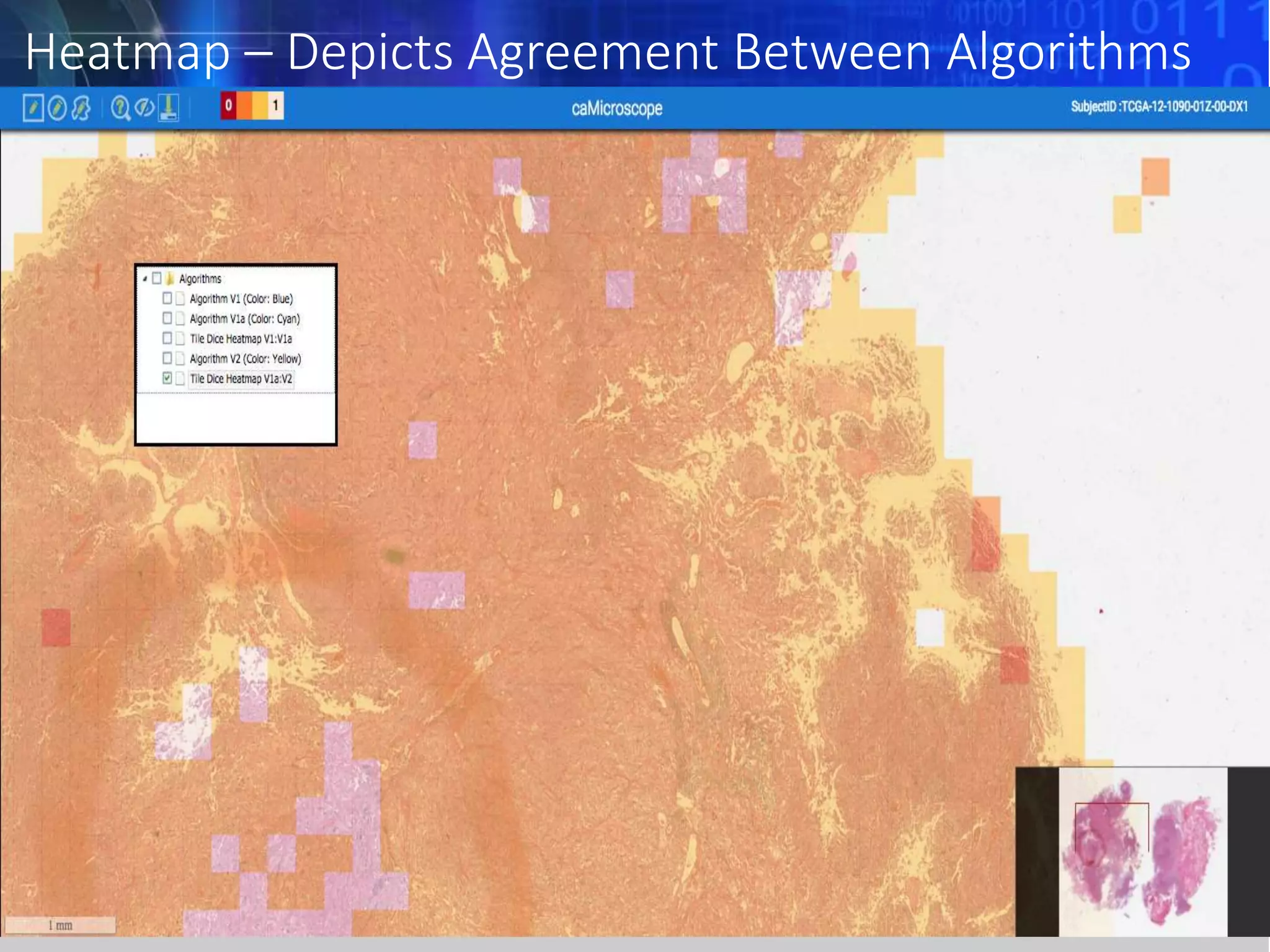 Heatmap – Depicts Agreement Between Algorithms
 