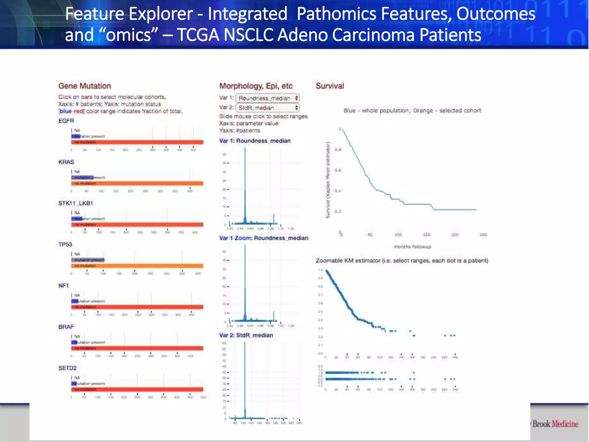 Feature Explorer - Integrated Pathomics Features, Outcomes
and “omics” – TCGA NSCLC Adeno Carcinoma Patients
 