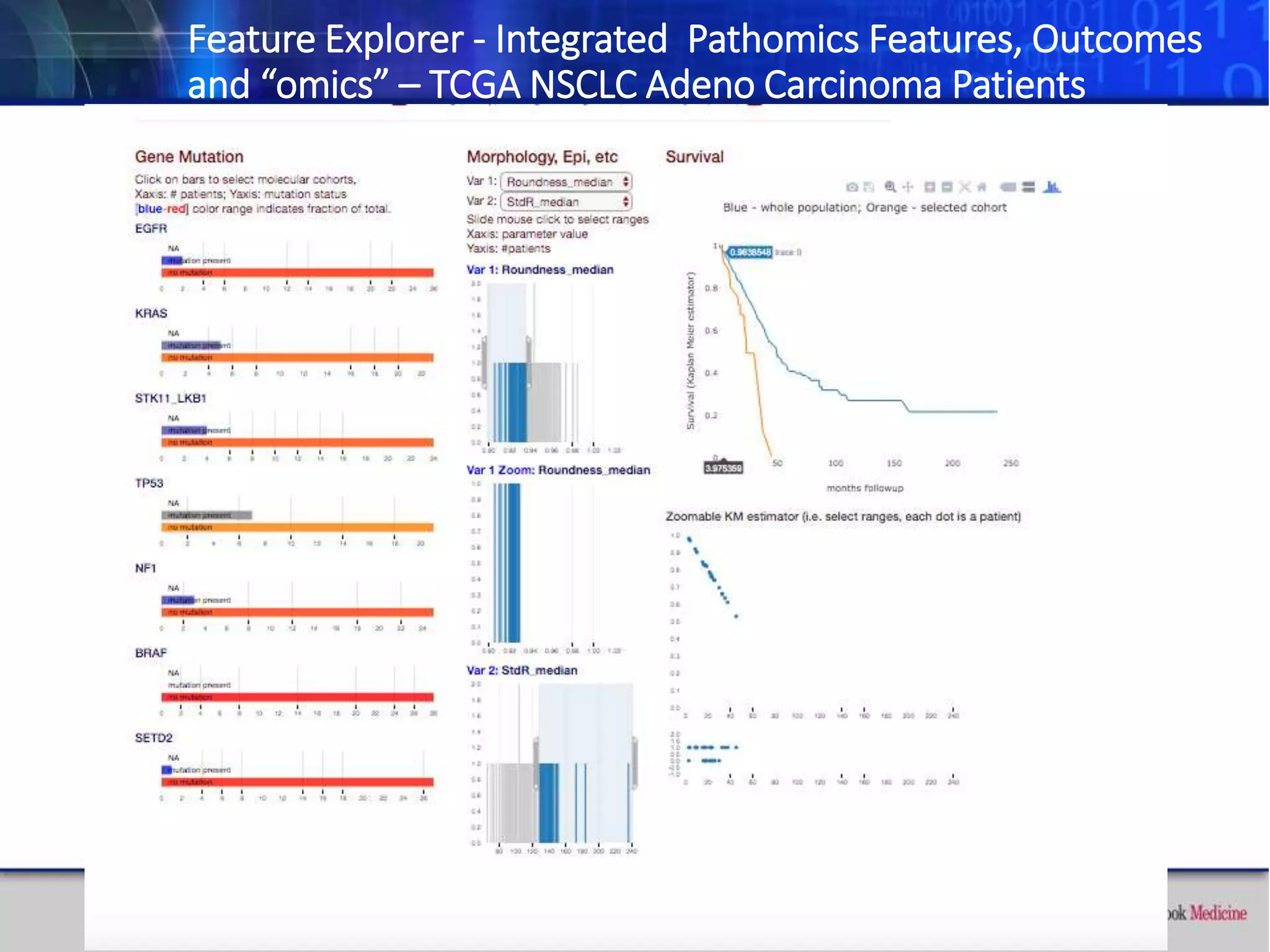 Feature Explorer - Integrated Pathomics Features, Outcomes
and “omics” – TCGA NSCLC Adeno Carcinoma Patients
 