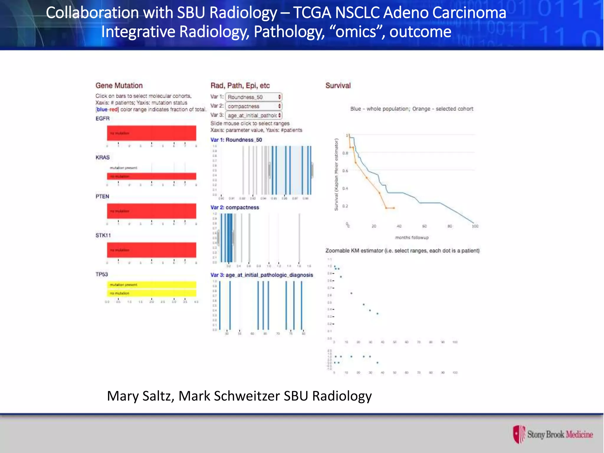 Collaboration with SBU Radiology – TCGA NSCLC Adeno Carcinoma
Integrative Radiology, Pathology, “omics”, outcome
Mary Saltz, Mark Schweitzer SBU Radiology
 