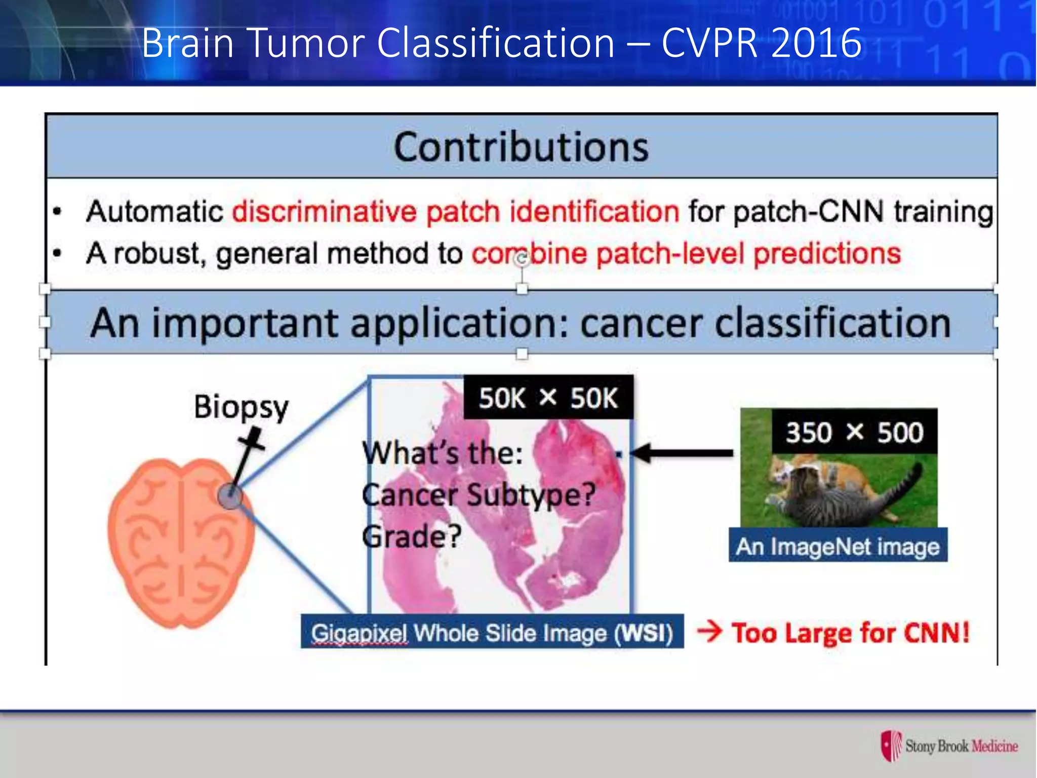 Brain Tumor Classification – CVPR 2016
 