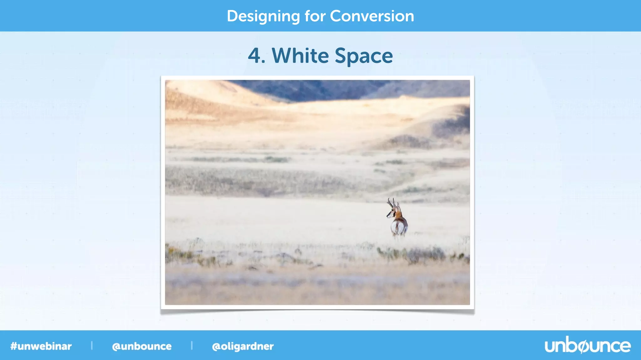 4. White Space
Designing for Conversion
 