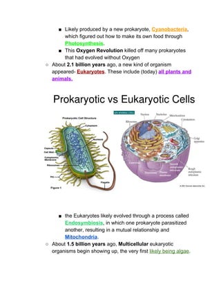 ■ Likely produced by a new prokaryote, ​Cyanobacteria​, 
which figured out how to make its own food through 
Photosynthesis​.  
■ This ​Oxygen Revolution​ killed off many prokaryotes 
that had evolved without Oxygen 
○ About ​2.1 billion years​ ago, a new kind of organism 
appeared­ ​Eukaryotes​. These include (today) ​all plants and 
animals. 
 
■ the Eukaryotes likely evolved through a process called 
Endosymbiosis​, in which one prokaryote parasitized 
another, resulting in a mutual relationship and 
Mitochondria​.  
○ About ​1.5 billion years​ ago, ​Multicellular​ eukaryotic 
organisms begin showing up, the very first ​likely being algae​.  
 
