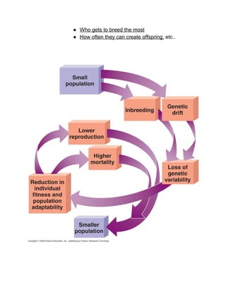 ● Who gets to breed the most 
● How often they can create offspring,​ etc.. 
 
 
 
 
 
 
