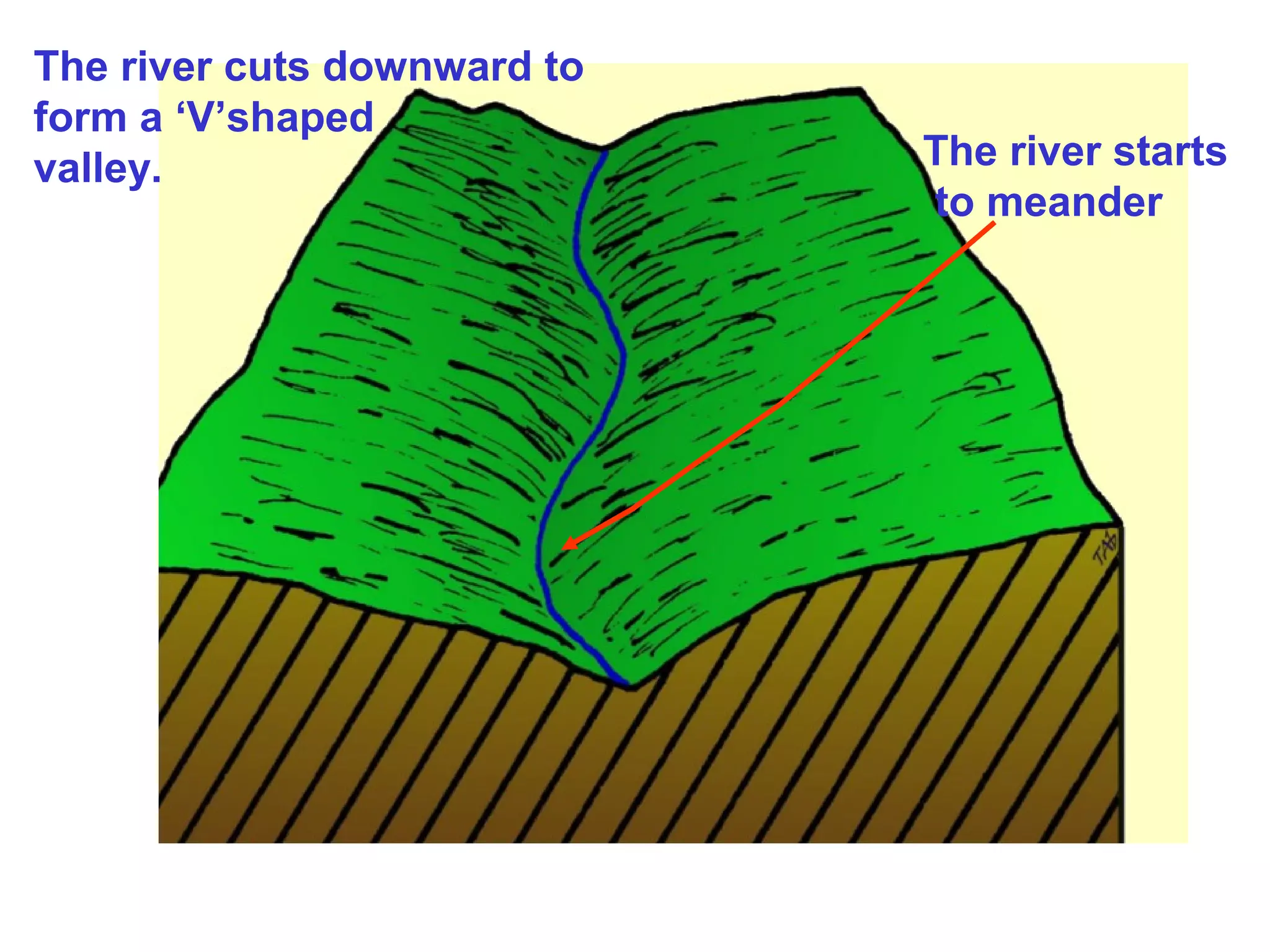 The river cuts downward to
form a ‘V’shaped
valley. The river starts
to meander
 