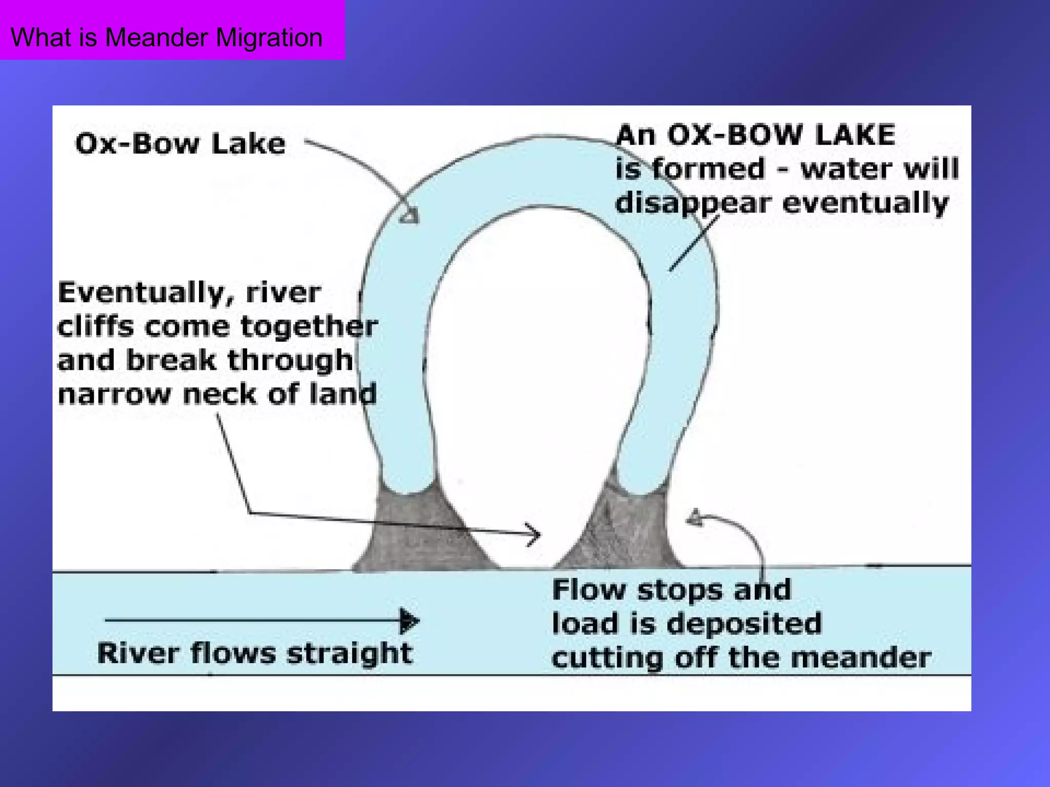 What is Meander Migration
 