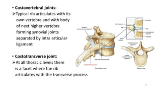 Separated Ribs Anatomy_of_Spine_and_its_Biomechanics.pptx
