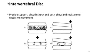 Inoperable Disc Anatomy_of_Spine_and_its_Biomechanics.pptx