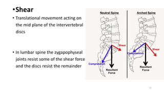 Anatomy_of_Spine_and_its_Biomechanics.pptx