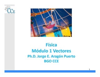 Física
Módulo 1 Vectores
Ph.D. Jorge E. Aragón Puerto
BGO CCE
1
 