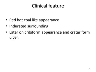 Clinical feature
• Red hot coal like appearance
• Indurated surrounding
• Later on cribiform appearance and crateriform
ulcer.
20
 