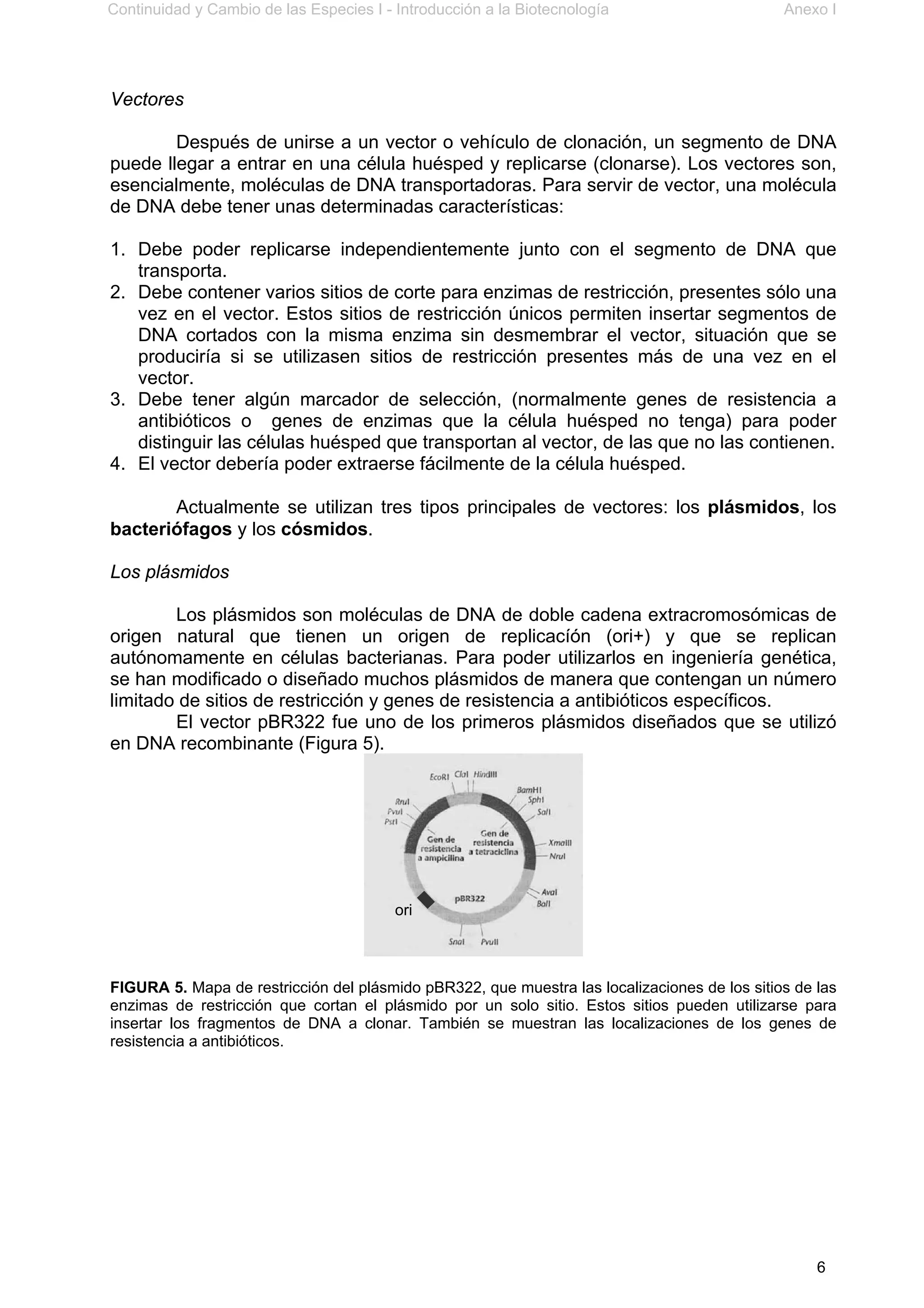Continuidad y Cambio de las Especies I - Introducción a la Biotecnología Anexo I
6
Vectores
Después de unirse a un vector o vehículo de clonación, un segmento de DNA
puede llegar a entrar en una célula huésped y replicarse (clonarse). Los vectores son,
esencialmente, moléculas de DNA transportadoras. Para servir de vector, una molécula
de DNA debe tener unas determinadas características:
1. Debe poder replicarse independientemente junto con el segmento de DNA que
transporta.
2. Debe contener varios sitios de corte para enzimas de restricción, presentes sólo una
vez en el vector. Estos sitios de restricción únicos permiten insertar segmentos de
DNA cortados con la misma enzima sin desmembrar el vector, situación que se
produciría si se utilizasen sitios de restricción presentes más de una vez en el
vector.
3. Debe tener algún marcador de selección, (normalmente genes de resistencia a
antibióticos o genes de enzimas que la célula huésped no tenga) para poder
distinguir las células huésped que transportan al vector, de las que no las contienen.
4. El vector debería poder extraerse fácilmente de la célula huésped.
Actualmente se utilizan tres tipos principales de vectores: los plásmidos, los
bacteriófagos y los cósmidos.
Los plásmidos
Los plásmidos son moléculas de DNA de doble cadena extracromosómicas de
origen natural que tienen un origen de replicacíón (ori+) y que se replican
autónomamente en células bacterianas. Para poder utilizarlos en ingeniería genética,
se han modificado o diseñado muchos plásmidos de manera que contengan un número
limitado de sitios de restricción y genes de resistencia a antibióticos específicos.
El vector pBR322 fue uno de los primeros plásmidos diseñados que se utilizó
en DNA recombinante (Figura 5).
FIGURA 5. Mapa de restricción del plásmido pBR322, que muestra las localizaciones de los sitios de las
enzimas de restricción que cortan el plásmido por un solo sitio. Estos sitios pueden utilizarse para
insertar los fragmentos de DNA a clonar. También se muestran las localizaciones de los genes de
resistencia a antibióticos.
ori
 