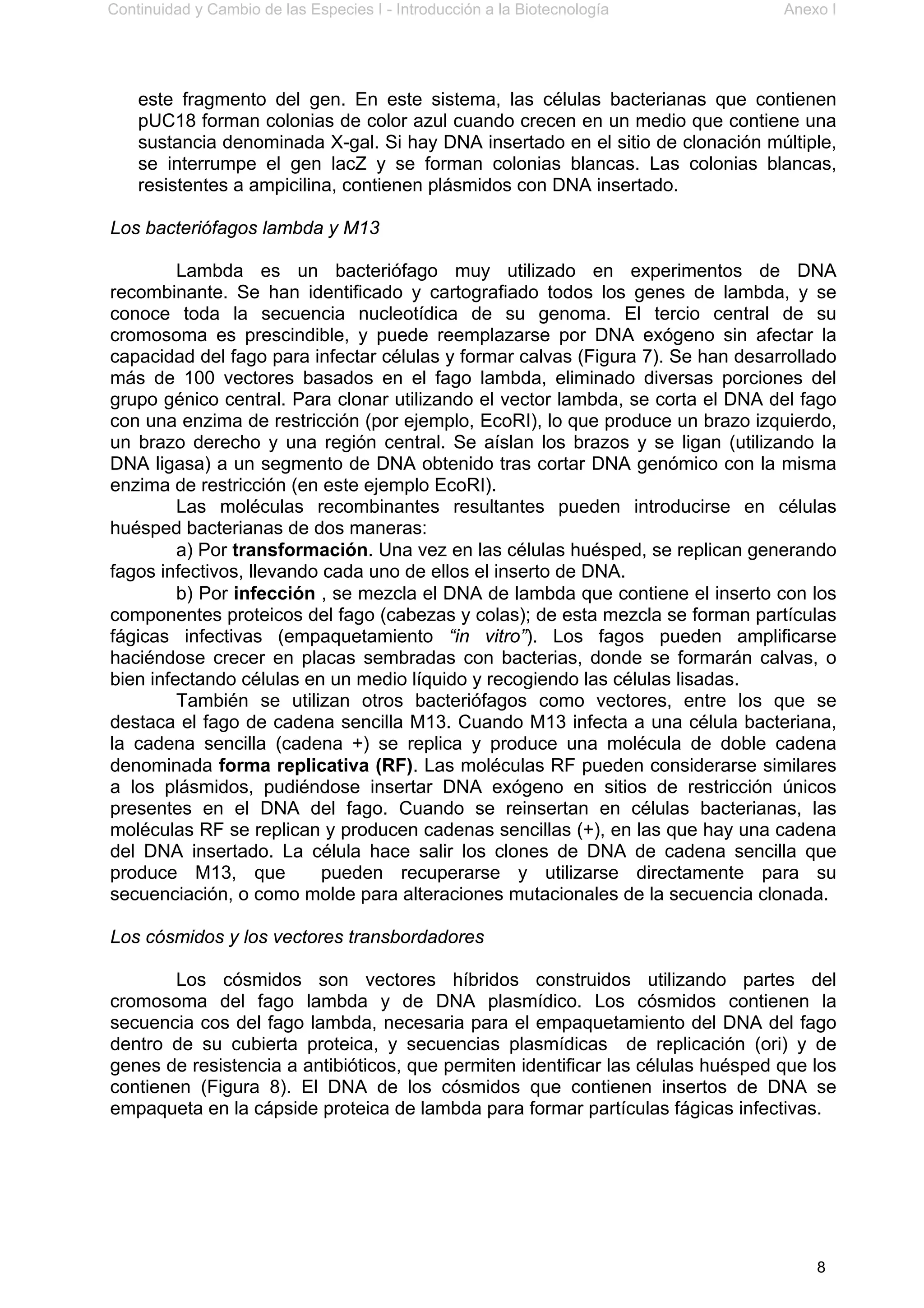 Continuidad y Cambio de las Especies I - Introducción a la Biotecnología Anexo I
8
este fragmento del gen. En este sistema, las células bacterianas que contienen
pUC18 forman colonias de color azul cuando crecen en un medio que contiene una
sustancia denominada X-gal. Si hay DNA insertado en el sitio de clonación múltiple,
se interrumpe el gen lacZ y se forman colonias blancas. Las colonias blancas,
resistentes a ampicilina, contienen plásmidos con DNA insertado.
Los bacteriófagos lambda y M13
Lambda es un bacteriófago muy utilizado en experimentos de DNA
recombinante. Se han identificado y cartografiado todos los genes de lambda, y se
conoce toda la secuencia nucleotídica de su genoma. El tercio central de su
cromosoma es prescindible, y puede reemplazarse por DNA exógeno sin afectar la
capacidad del fago para infectar células y formar calvas (Figura 7). Se han desarrollado
más de 100 vectores basados en el fago lambda, eliminado diversas porciones del
grupo génico central. Para clonar utilizando el vector lambda, se corta el DNA del fago
con una enzima de restricción (por ejemplo, EcoRI), lo que produce un brazo izquierdo,
un brazo derecho y una región central. Se aíslan los brazos y se ligan (utilizando la
DNA ligasa) a un segmento de DNA obtenido tras cortar DNA genómico con la misma
enzima de restricción (en este ejemplo EcoRI).
Las moléculas recombinantes resultantes pueden introducirse en células
huésped bacterianas de dos maneras:
a) Por transformación. Una vez en las células huésped, se replican generando
fagos infectivos, llevando cada uno de ellos el inserto de DNA.
b) Por infección , se mezcla el DNA de lambda que contiene el inserto con los
componentes proteicos del fago (cabezas y colas); de esta mezcla se forman partículas
fágicas infectivas (empaquetamiento “in vitro”). Los fagos pueden amplificarse
haciéndose crecer en placas sembradas con bacterias, donde se formarán calvas, o
bien infectando células en un medio líquido y recogiendo las células lisadas.
También se utilizan otros bacteriófagos como vectores, entre los que se
destaca el fago de cadena sencilla M13. Cuando M13 infecta a una célula bacteriana,
la cadena sencilla (cadena +) se replica y produce una molécula de doble cadena
denominada forma replicativa (RF). Las moléculas RF pueden considerarse similares
a los plásmidos, pudiéndose insertar DNA exógeno en sitios de restricción únicos
presentes en el DNA del fago. Cuando se reinsertan en células bacterianas, las
moléculas RF se replican y producen cadenas sencillas (+), en las que hay una cadena
del DNA insertado. La célula hace salir los clones de DNA de cadena sencilla que
produce M13, que pueden recuperarse y utilizarse directamente para su
secuenciación, o como molde para alteraciones mutacionales de la secuencia clonada.
Los cósmidos y los vectores transbordadores
Los cósmidos son vectores híbridos construidos utilizando partes del
cromosoma del fago lambda y de DNA plasmídico. Los cósmidos contienen la
secuencia cos del fago lambda, necesaria para el empaquetamiento del DNA del fago
dentro de su cubierta proteica, y secuencias plasmídicas de replicación (ori) y de
genes de resistencia a antibióticos, que permiten identificar las células huésped que los
contienen (Figura 8). El DNA de los cósmidos que contienen insertos de DNA se
empaqueta en la cápside proteica de lambda para formar partículas fágicas infectivas.
 