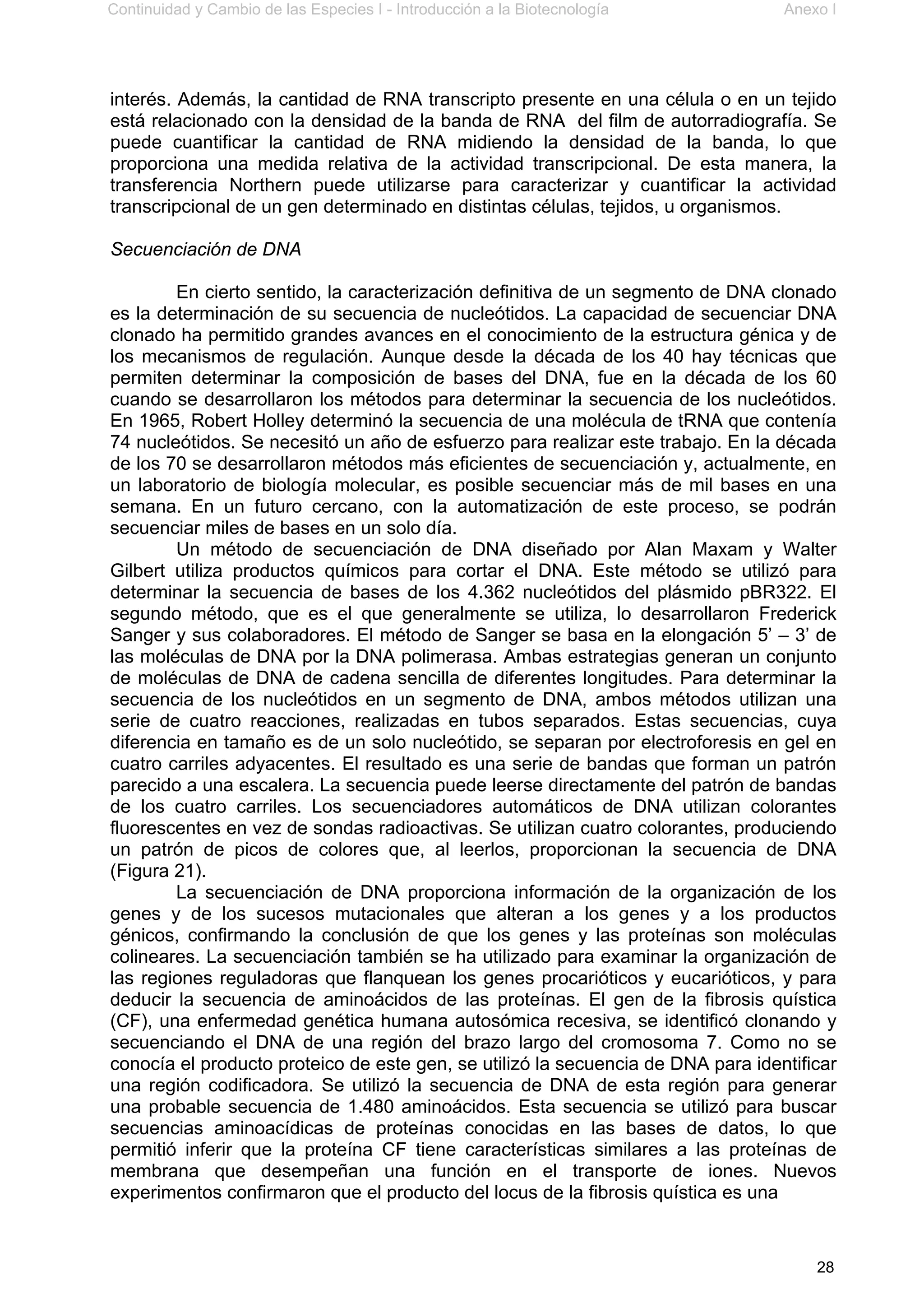 Continuidad y Cambio de las Especies I - Introducción a la Biotecnología Anexo I
28
interés. Además, la cantidad de RNA transcripto presente en una célula o en un tejido
está relacionado con la densidad de la banda de RNA del film de autorradiografía. Se
puede cuantificar la cantidad de RNA midiendo la densidad de la banda, lo que
proporciona una medida relativa de la actividad transcripcional. De esta manera, la
transferencia Northern puede utilizarse para caracterizar y cuantificar la actividad
transcripcional de un gen determinado en distintas células, tejidos, u organismos.
Secuenciación de DNA
En cierto sentido, la caracterización definitiva de un segmento de DNA clonado
es la determinación de su secuencia de nucleótidos. La capacidad de secuenciar DNA
clonado ha permitido grandes avances en el conocimiento de la estructura génica y de
los mecanismos de regulación. Aunque desde la década de los 40 hay técnicas que
permiten determinar la composición de bases del DNA, fue en la década de los 60
cuando se desarrollaron los métodos para determinar la secuencia de los nucleótidos.
En 1965, Robert Holley determinó la secuencia de una molécula de tRNA que contenía
74 nucleótidos. Se necesitó un año de esfuerzo para realizar este trabajo. En la década
de los 70 se desarrollaron métodos más eficientes de secuenciación y, actualmente, en
un laboratorio de biología molecular, es posible secuenciar más de mil bases en una
semana. En un futuro cercano, con la automatización de este proceso, se podrán
secuenciar miles de bases en un solo día.
Un método de secuenciación de DNA diseñado por Alan Maxam y Walter
Gilbert utiliza productos químicos para cortar el DNA. Este método se utilizó para
determinar la secuencia de bases de los 4.362 nucleótidos del plásmido pBR322. El
segundo método, que es el que generalmente se utiliza, lo desarrollaron Frederick
Sanger y sus colaboradores. El método de Sanger se basa en la elongación 5’ – 3’ de
las moléculas de DNA por la DNA polimerasa. Ambas estrategias generan un conjunto
de moléculas de DNA de cadena sencilla de diferentes longitudes. Para determinar la
secuencia de los nucleótidos en un segmento de DNA, ambos métodos utilizan una
serie de cuatro reacciones, realizadas en tubos separados. Estas secuencias, cuya
diferencia en tamaño es de un solo nucleótido, se separan por electroforesis en gel en
cuatro carriles adyacentes. El resultado es una serie de bandas que forman un patrón
parecido a una escalera. La secuencia puede leerse directamente del patrón de bandas
de los cuatro carriles. Los secuenciadores automáticos de DNA utilizan colorantes
fluorescentes en vez de sondas radioactivas. Se utilizan cuatro colorantes, produciendo
un patrón de picos de colores que, al leerlos, proporcionan la secuencia de DNA
(Figura 21).
La secuenciación de DNA proporciona información de la organización de los
genes y de los sucesos mutacionales que alteran a los genes y a los productos
génicos, confirmando la conclusión de que los genes y las proteínas son moléculas
colineares. La secuenciación también se ha utilizado para examinar la organización de
las regiones reguladoras que flanquean los genes procarióticos y eucarióticos, y para
deducir la secuencia de aminoácidos de las proteínas. El gen de la fibrosis quística
(CF), una enfermedad genética humana autosómica recesiva, se identificó clonando y
secuenciando el DNA de una región del brazo largo del cromosoma 7. Como no se
conocía el producto proteico de este gen, se utilizó la secuencia de DNA para identificar
una región codificadora. Se utilizó la secuencia de DNA de esta región para generar
una probable secuencia de 1.480 aminoácidos. Esta secuencia se utilizó para buscar
secuencias aminoacídicas de proteínas conocidas en las bases de datos, lo que
permitió inferir que la proteína CF tiene características similares a las proteínas de
membrana que desempeñan una función en el transporte de iones. Nuevos
experimentos confirmaron que el producto del locus de la fibrosis quística es una
 