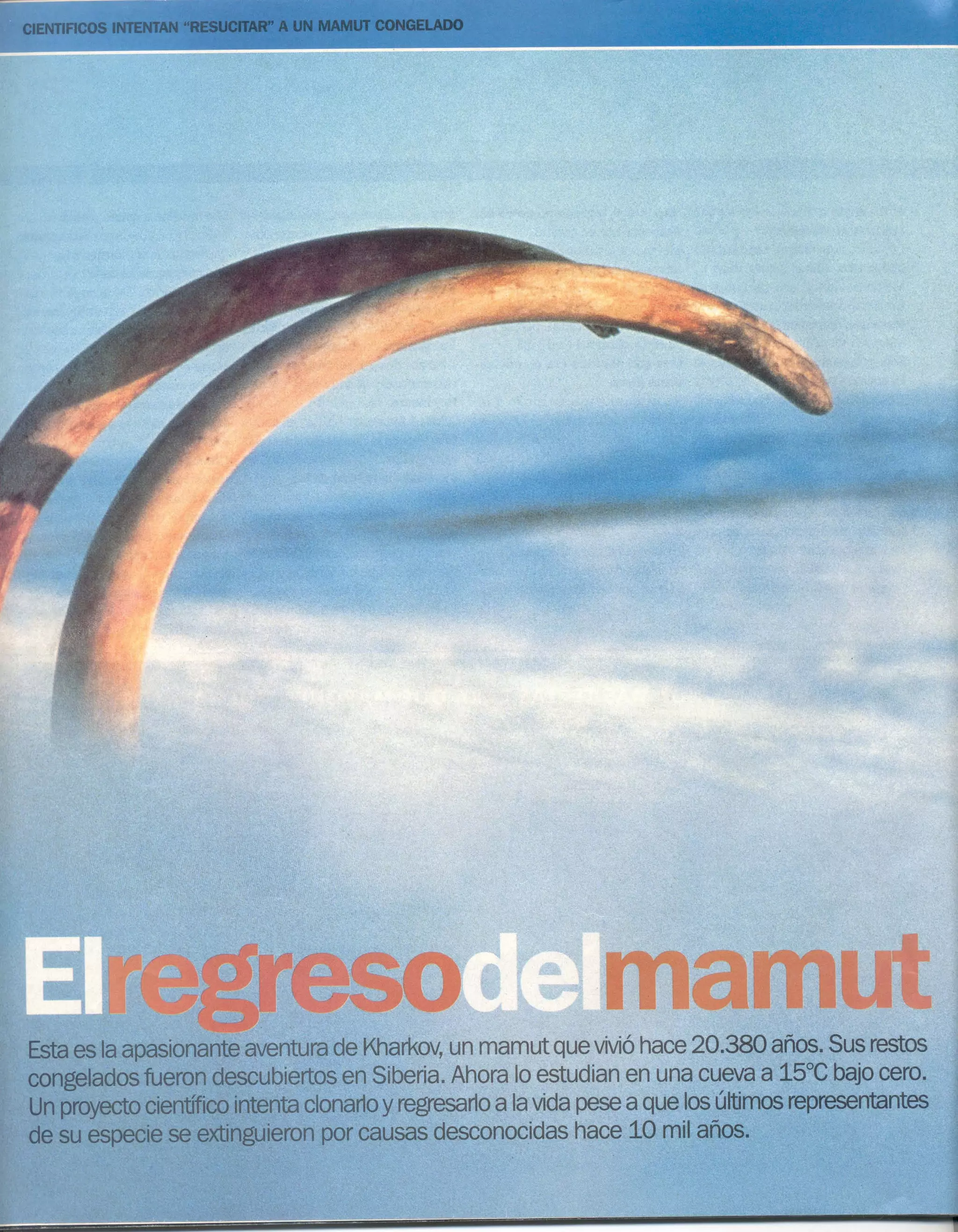 Cce modulo2 teorico2008