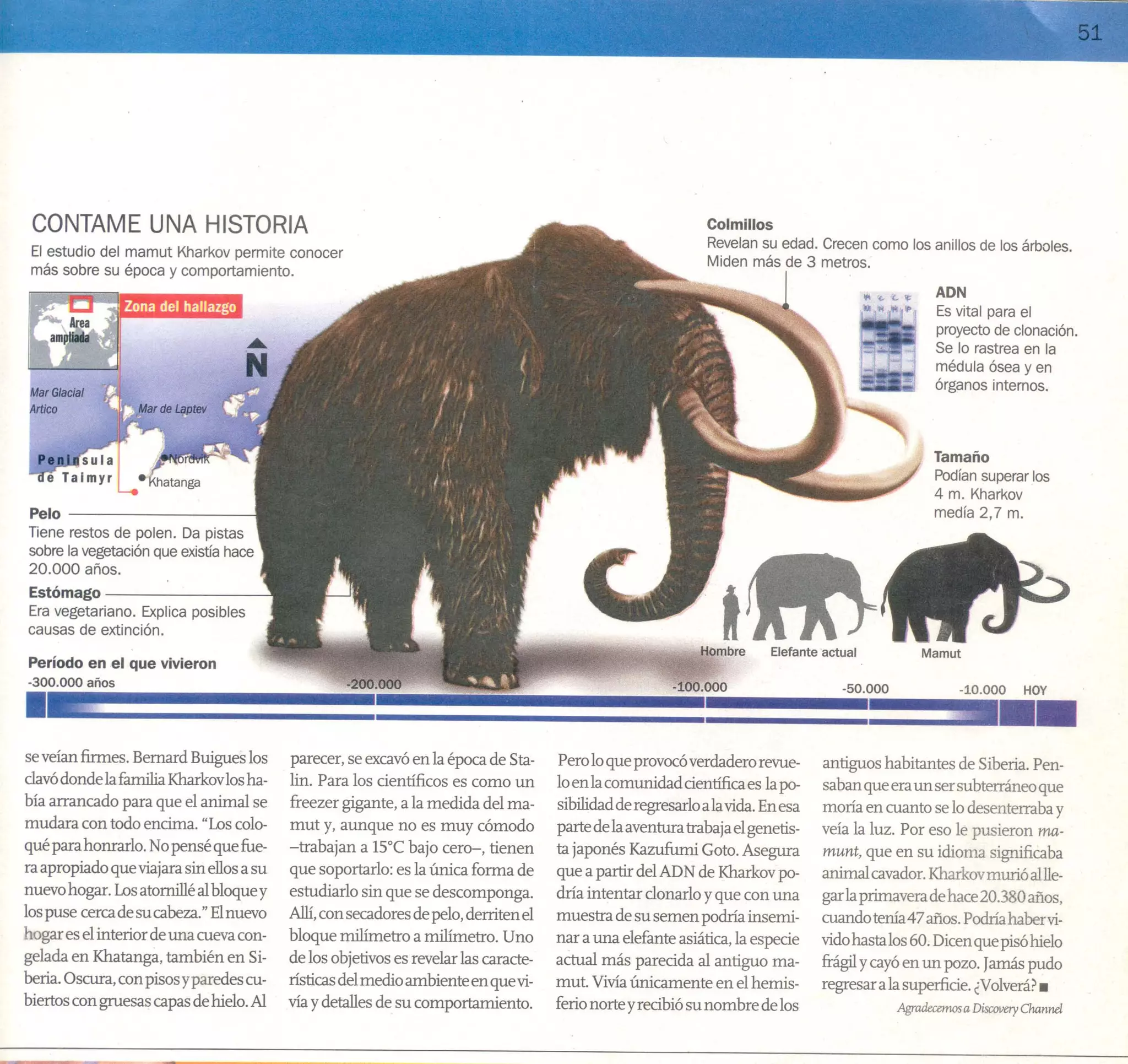 Cce modulo2 teorico2008