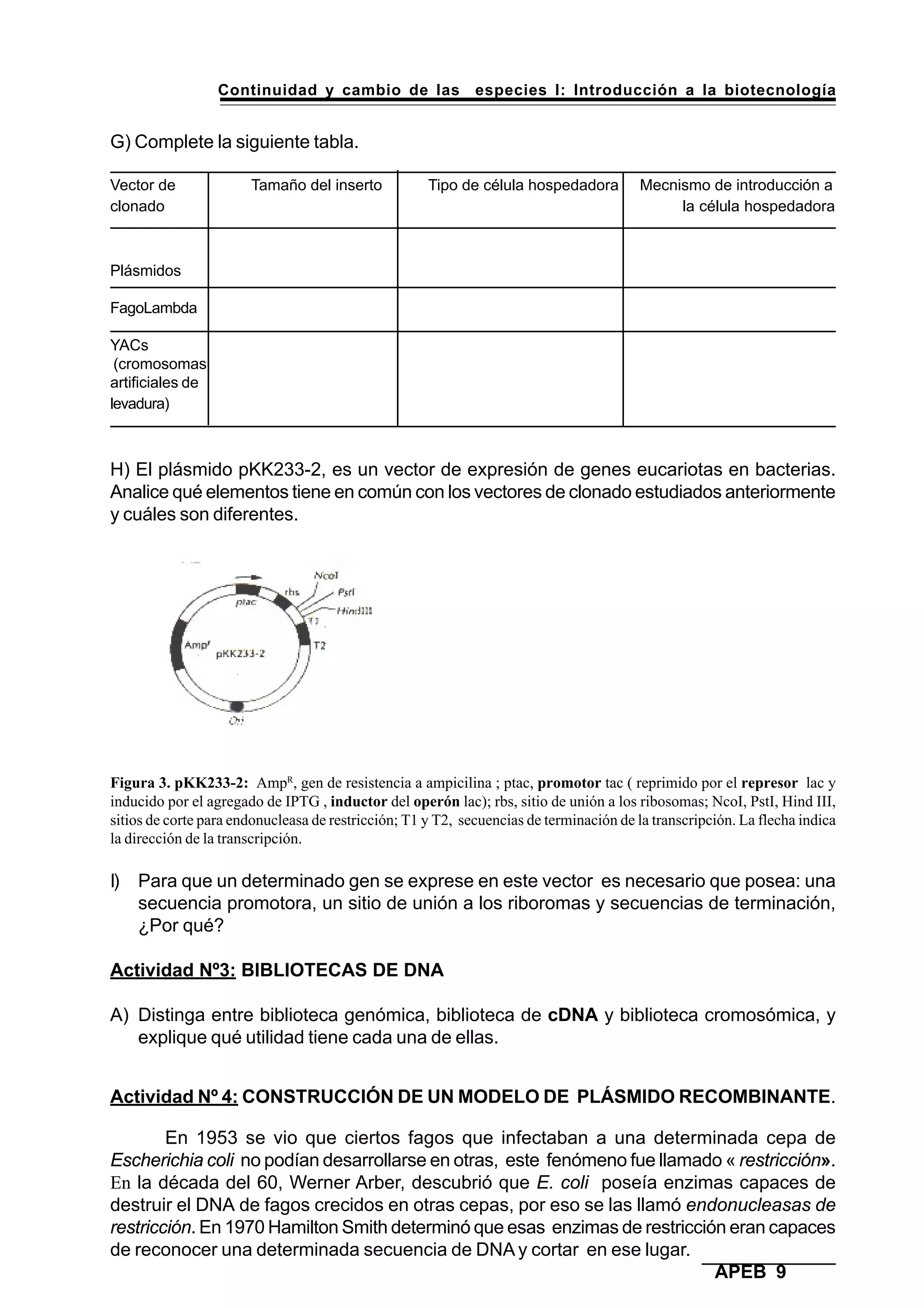 Continuidad y cambio de las especies I: Introducción a la biotecnología
APEB 9
G) Complete la siguiente tabla.
Vector de Tamaño del inserto Tipo de célula hospedadora Mecnismo de introducción a
clonado la célula hospedadora
Plásmidos
FagoLambda
YACs
(cromosomas
artificiales de
levadura)
H) El plásmido pKK233-2, es un vector de expresión de genes eucariotas en bacterias.
Analice qué elementos tiene en común con los vectores de clonado estudiados anteriormente
y cuáles son diferentes.
Figura 3. pKK233-2: AmpR
, gen de resistencia a ampicilina ; ptac, promotor tac ( reprimido por el represor lac y
inducido por el agregado de IPTG , inductor del operón lac); rbs, sitio de unión a los ribosomas; NcoI, PstI, Hind III,
sitios de corte para endonucleasa de restricción; T1 y T2, secuencias de terminación de la transcripción. La flecha indica
la dirección de la transcripción.
I) Para que un determinado gen se exprese en este vector es necesario que posea: una
secuencia promotora, un sitio de unión a los riboromas y secuencias de terminación,
¿Por qué?
Actividad Nº3: BIBLIOTECAS DE DNA
A) Distinga entre biblioteca genómica, biblioteca de cDNA y biblioteca cromosómica, y
explique qué utilidad tiene cada una de ellas.
Actividad Nº 4: CONSTRUCCIÓN DE UN MODELO DE PLÁSMIDO RECOMBINANTE.
En 1953 se vio que ciertos fagos que infectaban a una determinada cepa de
Escherichia coli no podían desarrollarse en otras, este fenómeno fue llamado « restricción».
En la década del 60, Werner Arber, descubrió que E. coli poseía enzimas capaces de
destruir el DNA de fagos crecidos en otras cepas, por eso se las llamó endonucleasas de
restricción. En 1970 Hamilton Smith determinó que esas enzimas de restricción eran capaces
de reconocer una determinada secuencia de DNA y cortar en ese lugar.
 