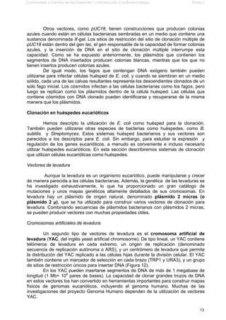 Continuidad y Cambio de las Especies I - Introducción a la Biotecnología Anexo I
13
Otros vectores, como pUC18, tienen construcciones que producen colonias
azules cuando están en células bacterianas sembradas en un medio que contiene una
sustancia denominada X-gal. Los sitios de restricción del sitio de clonación múltiple de
pUC18 están dentro del gen lac, el gen responsable de la capacidad de formar colonias
azules, y la inserción de DNA en el sitio de clonación múltiple interrumpe esta
capacidad. Como se ha expuesto anteriormente, los plásmidos que contienen los
segmentos de DNA insertados producen colonias blancas, mientras que los que no
tienen insertos producen colonias azules.
De igual modo, los fagos que contengan DNA exógeno también pueden
utilizarse para infectar células huésped de E. coli, y cuando se siembran en un medio
sólido, cada una de las calvas resultantes representa los descendientes clonados de un
solo fago inicial. Los cósmidos infectan a las células bacterianas como los fagos, pero
luego se replican como los plásmidos dentro de la célula huésped. Las células que
contiene cósmidos con DNA clonado pueden identificarse y recuperarse de la misma
manera que los plásmidos.
Clonación en huéspedes eucarióticos
Hemos descripto la utilización de E. coli como huésped para la clonación.
También pueden utilizarse otras especies de bacterias como huéspedes, como B.
subtilis y Streptomyces. Estos sistemas huésped bacterianos y sus vectores son
parecidos a los descriptos para E. coli. Sin embargo, para estudiar la expresión y
regulación de los genes eucarióticos, a menudo es conveniente e incluso necesario
utilizar huéspedes eucarióticos. En esta sección describiremos sistemas de clonación
que utilizan células eucarióticas como huéspedes.
Vectores de levadura
Aunque la levadura es un organismo eucariótico, puede manipularse y crecer
de manera parecida a las células bacterianas. Además, la genética de las levaduras se
ha investigado exhaustivamente, lo que ha proporcionado un gran catálogo de
mutaciones y unos mapas genéticos altamente detallados de sus cromosomas. En
levadura hay un plásmido de origen natural, denominado plásmido 2 micras (o
plásmido 2 µ), que se ha utilizado para construir varios vectores de clonación para
levadura. Combinando secuencias de plásmidos bacterianos con plásmidos 2 micras,
se pueden producir vectores con muchas propiedades útiles.
Cromosomas artificiales de levadura
Un segundo tipo de vectores de levadura es el cromosoma artificial de
levadura (YAC, del inglés yeast artificial chromosome). De tipo lineal, un YAC contiene
telómeros de levadura en cada extremo, un origen de replicación (denominado
secuencia de replicación autónoma o ARS), y un centrómero de levadura que permite
la distribución del YAC replicado a las células hijas durante la división celular. El YAC
también contiene un marcador de selección en cada brazo (TRP1 y URA3), y un grupo
de sitios de restricción únicos para insertar DNA (Figura 12).
En los YAC pueden insertarse segmentos de DNA de más de 1 megabase de
longitud (1 Mb= 106
pares de bases). La capacidad de clonar grandes trozos de DNA
en estos vectores los han convertido en herramientas importantes para construir mapas
físicos de genomas eucarióticos, incluyendo el genoma humano. Muchas de las
investigaciones del proyecto Genoma Humano dependen de la utilización de vectores
YAC.
 