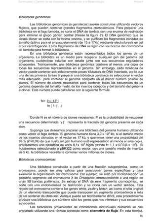 Continuidad y Cambio de las Especies I - Introducción a la Biotecnología Anexo I
15
Bibliotecas genómicas
Las bibliotecas genómicas (o genotecas) suelen construirse utilizando vectores
fágicos, que pueden contener grandes fragmentos cromosómicos. Para preparar una
biblioteca en el fago lambda, se corta el DNA de lambda con una enzima de restricción
para eliminar el grupo génico central (Véase la figura 7). El DNA genómico que se
desea clonar se corta con la misma enzima, y se purifican los fragmentos cortados de
tamaño óptimo para el empaquetamiento (de 15 a 17kb) mediante electroforesis en gel
o por centrifugación. Estos fragmentos de DNA se ligan con los brazos del cromosoma
de lambda para formar la biblioteca.
En una biblioteca genómica están representados todos los genes de un
organismo. La biblioteca es un medio para recuperar cualquier gen del genoma del
organismo, pudiéndose estudiar con detalle junto con sus secuencias reguladoras
adyacentes. Teóricamente, una biblioteca genómica contiene al menos una copia de
todas las secuencias representadas en el genoma. Sin embargo, cada molécula de
vector puede contener sólo relativamente pocas kilobases de DNA insertado, por lo que
una de las primeras tareas al preparar una biblioteca genómica es seleccionar el vector
más adecuado para contener el genoma completo en el menor número posible de
clones. El número de clones necesarios para contener todas las secuencias de un
genoma depende del tamaño medio de los insertos clonados y del tamaño del genoma
a clonar. Este número puede calcularse con la siguiente fórmula:
N= ln ( 1-P)
ln ( 1- ƒ )
Donde N es el número de clones necesarios, P es la probabilidad de recuperar
una secuencia determinada, y ƒ representa la fracción del genoma presente en cada
clon.
Suponga que deseamos preparar una biblioteca del genoma humano utilizando
como vector el fago lambda. El genoma humano tiene 3,0 x 106
kb; si el tamaño medio
de los insertos clonados en el vector es 17 kb, y queremos tener una probabilidad del
99 % (P=0,99) de que cualquier gen humano esté representado al menos en una copia,
precisaremos una biblioteca de unos 8,1x 105
fagos (donde f= 1,7 x104
/3,0 x 109
). Si
hubiésemos seleccionado a pBR322 como vector, con una tamaño medio de insertos
de 5 kb, la biblioteca necesitaría contener varios millones de clones.
Bibliotecas cromosómicas
Una biblioteca construida a partir de una fracción subgenómica, como un
cromosoma, puede ser muy valiosa para seleccionar genes específicos y para
examinar la organización del cromosoma. Por ejemplo, se aisló por microdisección un
pequeño segmento del cromosoma X de Drosophila correspondiente a una región de
unas 50 bandas politénicas. Se extrajo el DNA de este fragmento cromosómico, se
cortó con una endonucleasa de restricción y se clonó con un vector lambda. Esta
región del cromosoma contiene los genes white, zeste y Notch, así como el sitio original
de un elemento transponible que puede transponer un segmento cromosómico a más
de un centenar de otros loci. Aunque puede ser técnicamente difícil, este procedimiento
produce una biblioteca que contiene sólo los genes que nos interesan y sus secuencias
adyacentes.
Las bibliotecas provenientes de cromosomas individuales humanos se han
preparado utilizando una técnica conocida como citometría de flujo. En esta técnica,
 