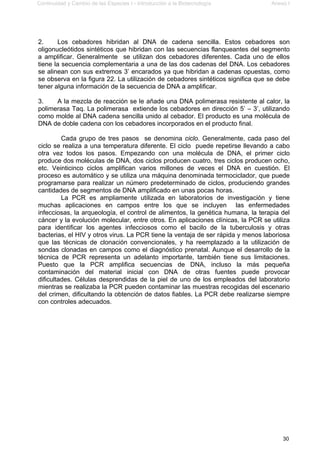 Continuidad y Cambio de las Especies I - Introducción a la Biotecnología Anexo I
30
2. Los cebadores hibridan al DNA de cadena sencilla. Estos cebadores son
oligonucleótidos sintéticos que hibridan con las secuencias flanqueantes del segmento
a amplificar. Generalmente se utilizan dos cebadores diferentes. Cada uno de ellos
tiene la secuencia complementaria a una de las dos cadenas del DNA. Los cebadores
se alinean con sus extremos 3’ encarados ya que hibridan a cadenas opuestas, como
se observa en la figura 22. La utilización de cebadores sintéticos significa que se debe
tener alguna información de la secuencia de DNA a amplificar.
3. A la mezcla de reacción se le añade una DNA polimerasa resistente al calor, la
polimerasa Taq. La polimerasa extiende los cebadores en dirección 5’ – 3’, utilizando
como molde al DNA cadena sencilla unido al cebador. El producto es una molécula de
DNA de doble cadena con los cebadores incorporados en el producto final.
Cada grupo de tres pasos se denomina ciclo. Generalmente, cada paso del
ciclo se realiza a una temperatura diferente. El ciclo puede repetirse llevando a cabo
otra vez todos los pasos. Empezando con una molécula de DNA, el primer ciclo
produce dos moléculas de DNA, dos ciclos producen cuatro, tres ciclos producen ocho,
etc. Veinticinco ciclos amplifican varios millones de veces el DNA en cuestión. El
proceso es automático y se utiliza una máquina denominada termociclador, que puede
programarse para realizar un número predeterminado de ciclos, produciendo grandes
cantidades de segmentos de DNA amplificado en unas pocas horas.
La PCR es ampliamente utilizada en laboratorios de investigación y tiene
muchas aplicaciones en campos entre los que se incluyen las enfermedades
infecciosas, la arqueología, el control de alimentos, la genética humana, la terapia del
cáncer y la evolución molecular, entre otros. En aplicaciones clínicas, la PCR se utiliza
para identificar los agentes infecciosos como el bacilo de la tuberculosis y otras
bacterias, el HIV y otros virus. La PCR tiene la ventaja de ser rápida y menos laboriosa
que las técnicas de clonación convencionales, y ha reemplazado a la utilización de
sondas clonadas en campos como el diagnóstico prenatal. Aunque el desarrollo de la
técnica de PCR representa un adelanto importante, también tiene sus limitaciones.
Puesto que la PCR amplifica secuencias de DNA, incluso la más pequeña
contaminación del material inicial con DNA de otras fuentes puede provocar
dificultades. Células desprendidas de la piel de uno de los empleados del laboratorio
mientras se realizaba la PCR pueden contaminar las muestras recogidas del escenario
del crimen, dificultando la obtención de datos fiables. La PCR debe realizarse siempre
con controles adecuados.
 