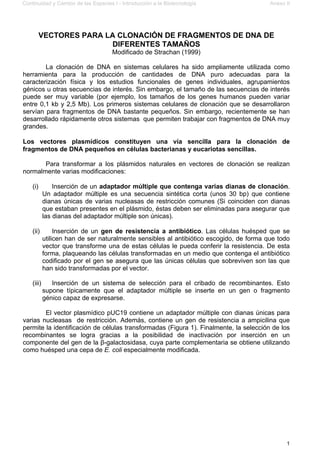 Continuidad y Cambio de las Especies I - Introducción a la Biotecnología Anexo II
1
VECTORES PARA LA CLONACIÓN DE FRAGMENTOS DE DNA DE
DIFERENTES TAMAÑOS
Modificado de Strachan (1999)
La clonación de DNA en sistemas celulares ha sido ampliamente utilizada como
herramienta para la producción de cantidades de DNA puro adecuadas para la
caracterización física y los estudios funcionales de genes individuales, agrupamientos
génicos u otras secuencias de interés. Sin embargo, el tamaño de las secuencias de interés
puede ser muy variable (por ejemplo, los tamaños de los genes humanos pueden variar
entre 0,1 kb y 2,5 Mb). Los primeros sistemas celulares de clonación que se desarrollaron
servían para fragmentos de DNA bastante pequeños. Sin embargo, recientemente se han
desarrollado rápidamente otros sistemas que permiten trabajar con fragmentos de DNA muy
grandes.
Los vectores plasmídicos constituyen una vía sencilla para la clonación de
fragmentos de DNA pequeños en células bacterianas y eucariotas sencillas.
Para transformar a los plásmidos naturales en vectores de clonación se realizan
normalmente varias modificaciones:
(i) Inserción de un adaptador múltiple que contenga varias dianas de clonación.
Un adaptador múltiple es una secuencia sintética corta (unos 30 bp) que contiene
dianas únicas de varias nucleasas de restricción comunes (Si coinciden con dianas
que estaban presentes en el plásmido, éstas deben ser eliminadas para asegurar que
las dianas del adaptador múltiple son únicas).
(ii) Inserción de un gen de resistencia a antibiótico. Las células huésped que se
utilicen han de ser naturalmente sensibles al antibiótico escogido, de forma que todo
vector que transforme una de estas células le pueda conferir la resistencia. De esta
forma, plaqueando las células transformadas en un medio que contenga el antibiótico
codificado por el gen se asegura que las únicas células que sobreviven son las que
han sido transformadas por el vector.
(iii) Inserción de un sistema de selección para el cribado de recombinantes. Esto
supone típicamente que el adaptador múltiple se inserte en un gen o fragmento
génico capaz de expresarse.
El vector plasmídico pUC19 contiene un adaptador múltiple con dianas únicas para
varias nucleasas de restricción. Además, contiene un gen de resistencia a ampicilina que
permite la identificación de células transformadas (Figura 1). Finalmente, la selección de los
recombinantes se logra gracias a la posibilidad de inactivación por inserción en un
componente del gen de la β-galactosidasa, cuya parte complementaria se obtiene utilizando
como huésped una cepa de E. coli especialmente modificada.
 