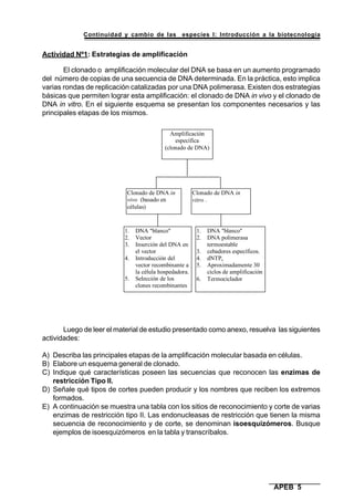 Continuidad y cambio de las especies I: Introducción a la biotecnología
APEB 5
Actividad Nº1: Estrategias de amplificación
El clonado o amplificación molecular del DNA se basa en un aumento programado
del número de copias de una secuencia de DNA determinada. En la práctica, esto implica
varias rondas de replicación catalizadas por una DNA polimerasa. Existen dos estrategias
básicas que permiten lograr esta amplificación: el clonado de DNA in vivo y el clonado de
DNA in vitro. En el siguiente esquema se presentan los componentes necesarios y las
principales etapas de los mismos.
Luego de leer el material de estudio presentado como anexo, resuelva las siguientes
actividades:
A) Describa las principales etapas de la amplificación molecular basada en células.
B) Elabore un esquema general de clonado.
C) Indique qué características poseen las secuencias que reconocen las enzimas de
restricción Tipo II.
D) Señale qué tipos de cortes pueden producir y los nombres que reciben los extremos
formados.
E) A continuación se muestra una tabla con los sitios de reconocimiento y corte de varias
enzimas de restricción tipo II. Las endonucleasas de restricción que tienen la misma
secuencia de reconocimiento y de corte, se denominan isoesquizómeros. Busque
ejemplos de isoesquizómeros en la tabla y transcríbalos.
Clonado de DNA in
vivo (basado en
células)
Clonado de DNA in
vitro .
Amplificación
específica
(clonado de DNA)
1. DNA "blanco"
2. Vector
3. Inserción del DNA en
el vector
4. Introducción del
vector recombinante a
la célula hospedadora.
5. Selección de los
clones recombinantes
1. DNA "blanco"
2. DNA polimerasa
termoestable
3. cebadores específicos.
4. dNTPs
5. Aproximadamente 30
ciclos de amplificación
6. Termociclador
 