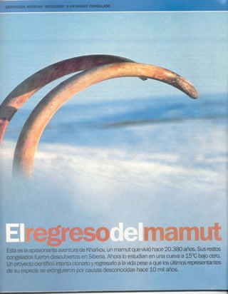 Cce modulo2 teorico2008