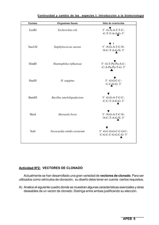 Continuidad y cambio de las especies I: Introducción a la biotecnología
APEB 6
Actividad Nº2: VECTORES DE CLONADO
Actualmente se han desarrollado una gran variedad de vectores de clonado. Para ser
utilizados como vehículos de clonación, su diseño debe tener en cuenta ciertos requisitos.
A) Analice el siguiente cuadro donde se muestran algunas características esenciales y otras
deseables de un vector de clonado. Distinga entre ambas justificando su elección.
Enzima Organismo fuente Sitio de restricción
EcoRI
Sau3AI
HindII
HaeIII
BamHI
MsoI
NotI
Escherichia coli
Satphylococcus aureus
Haemophilus influenzae
H. aegiptus
Bacillus amyloliquefaciens
Moraxela bovis
Nococardia otitdis-caviarum
5’ -G-A-A-T-T-C-
-C-T-T-A-A-G- 5’
I
5’ -N-G-A-T-C-N-
-N-C-T-A-G-N- 5’
5’ -G-T-Py-Pu-A-C-
-C-A-Pu-Py-T-G- 5’
5’ -G-G-C-C-
-C-C-G-G- 5’
5’ -G-G-A-T-C-C-
-C-C-T-A-G-G- 5’
5’ -N-G-A-T-C-N-
-N-C-T-A-G-N- 5’
5’ -G-C-G-G-C-C-G-C-
-C-G-C-C-G-G-C-G- 5’
 