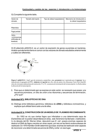 Continuidad y cambio de las especies I: Introducción a la biotecnología
APEB 9
G) Complete la siguiente tabla.
Vector de Tamaño del inserto Tipo de célula hospedadora Mecnismo de introducción a
clonado la célula hospedadora
Plásmidos
FagoLambda
YACs
(cromosomas
artificiales de
levadura)
H) El plásmido pKK233-2, es un vector de expresión de genes eucariotas en bacterias.
Analice qué elementos tiene en común con los vectores de clonado estudiados anteriormente
y cuáles son diferentes.
Figura 3. pKK233-2: AmpR
, gen de resistencia a ampicilina ; ptac, promotor tac ( reprimido por el represor lac y
inducido por el agregado de IPTG , inductor del operón lac); rbs, sitio de unión a los ribosomas; NcoI, PstI, Hind III,
sitios de corte para endonucleasa de restricción; T1 y T2, secuencias de terminación de la transcripción. La flecha indica
la dirección de la transcripción.
I) Para que un determinado gen se exprese en este vector es necesario que posea: una
secuencia promotora, un sitio de unión a los riboromas y secuencias de terminación,
¿Por qué?
Actividad Nº3: BIBLIOTECAS DE DNA
A) Distinga entre biblioteca genómica, biblioteca de cDNA y biblioteca cromosómica, y
explique qué utilidad tiene cada una de ellas.
Actividad Nº 4: CONSTRUCCIÓN DE UN MODELO DE PLÁSMIDO RECOMBINANTE.
En 1953 se vio que ciertos fagos que infectaban a una determinada cepa de
Escherichia coli no podían desarrollarse en otras, este fenómeno fue llamado « restricción».
En la década del 60, Werner Arber, descubrió que E. coli poseía enzimas capaces de
destruir el DNA de fagos crecidos en otras cepas, por eso se las llamó endonucleasas de
restricción. En 1970 Hamilton Smith determinó que esas enzimas de restricción eran capaces
de reconocer una determinada secuencia de DNA y cortar en ese lugar.
 